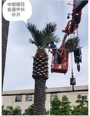 Upper middle — medium fronds worked in