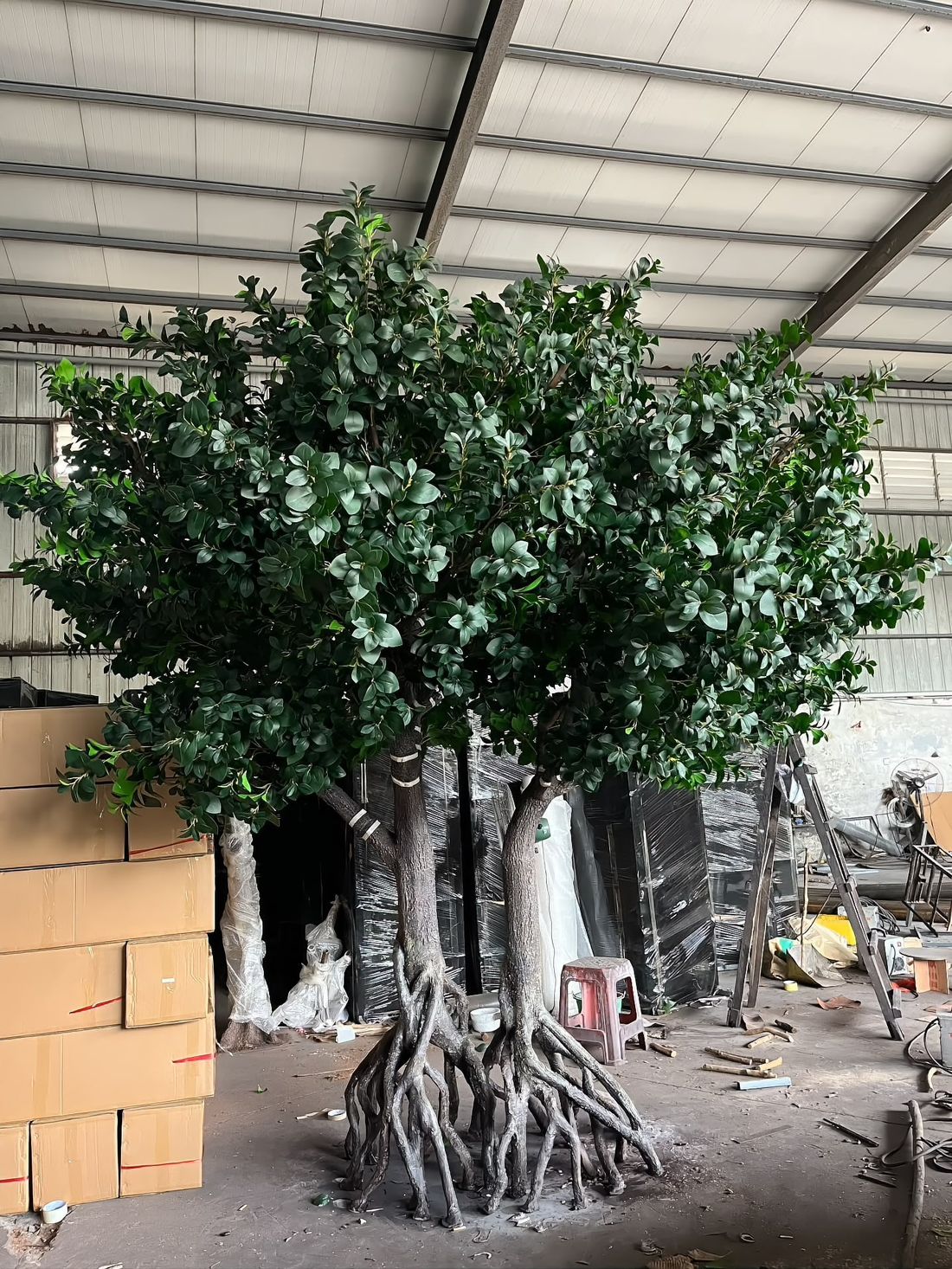 Twin-trunk banyan with hand-formed aerial roots, sculpted root by root