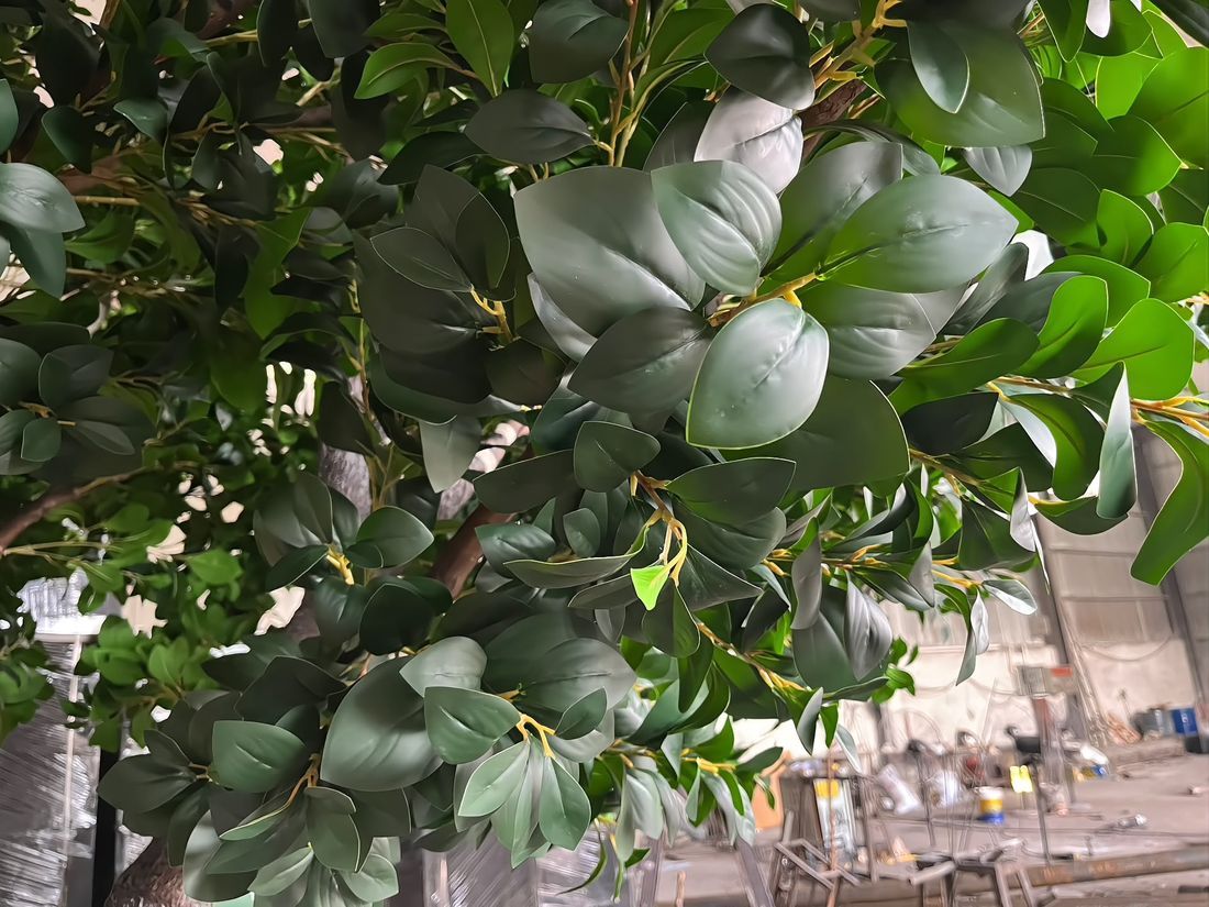 Ficus foliage up close — gloss-finished leaves with colour-matched stems