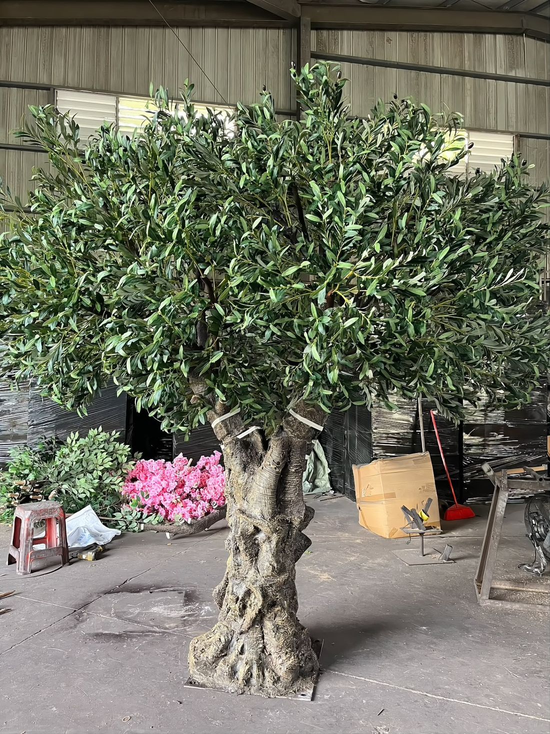 Gnarled multi-trunk olive — bark sculpted and painted by hand over a reinforced inner frame