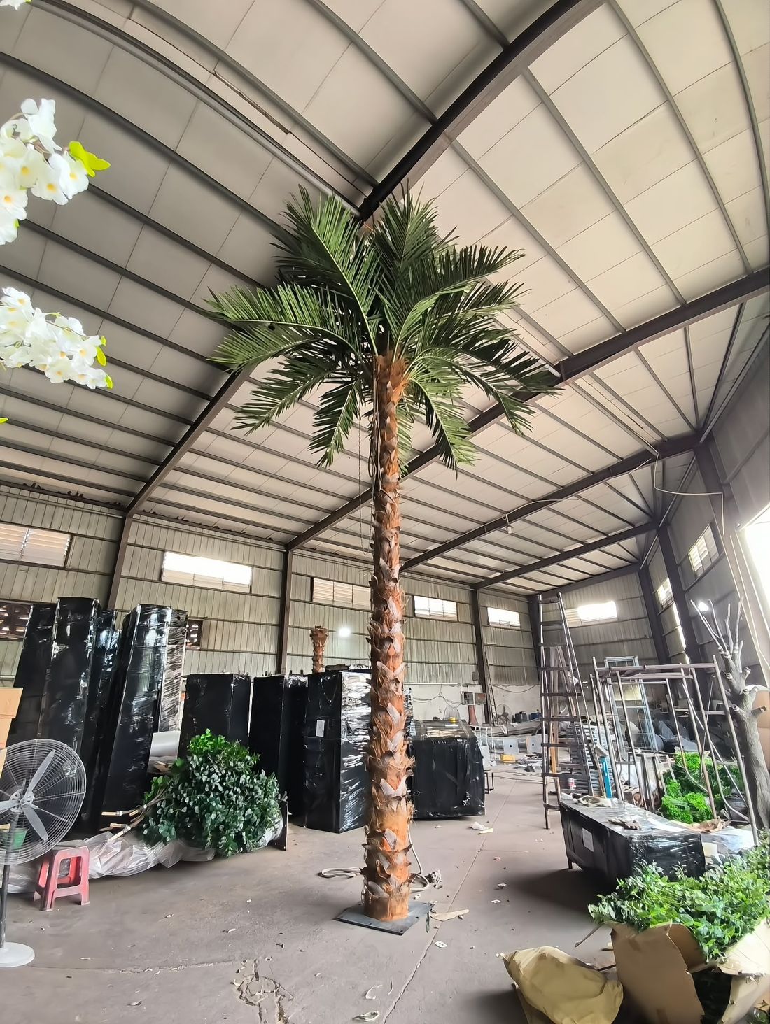 Tall palm standing at full height — trunk, crown and base plate as delivered