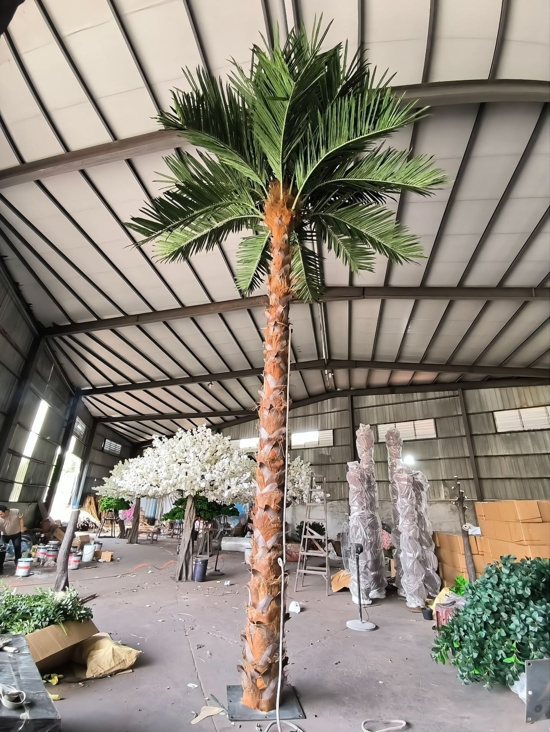 The same palm from the production bay — frond tiers checked row by row before crating