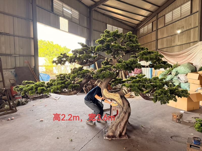 Finished sculpted pine topiary spiral standing at 2.2 m height with a 3.6 m spread, ready for QC in the Everflorae workshop