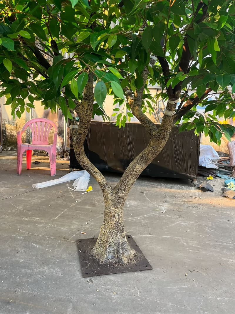 Ficus tree branch structure and bolted steel base plate photographed in the yard before crating