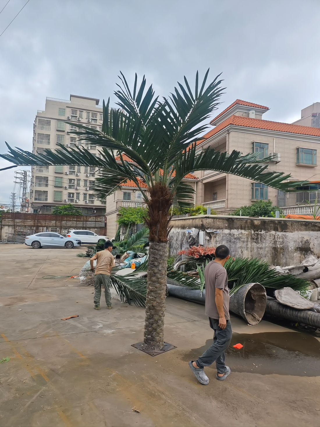 Outdoor artificial date palm installation check at the factory