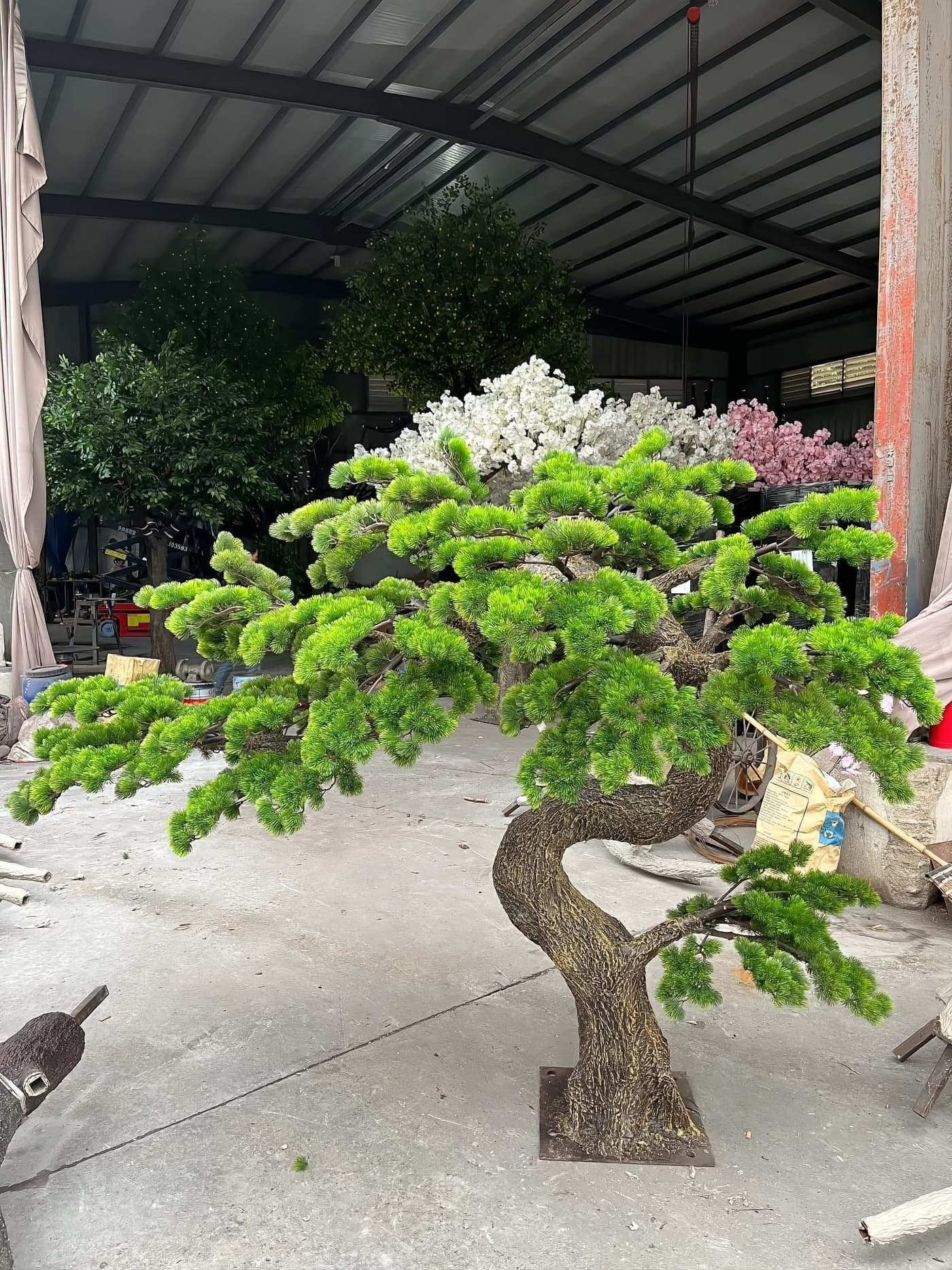 Finished sculpted topiary pine with a low horizontal canopy and curved trunk, standing on its steel base plate in the workshop yard