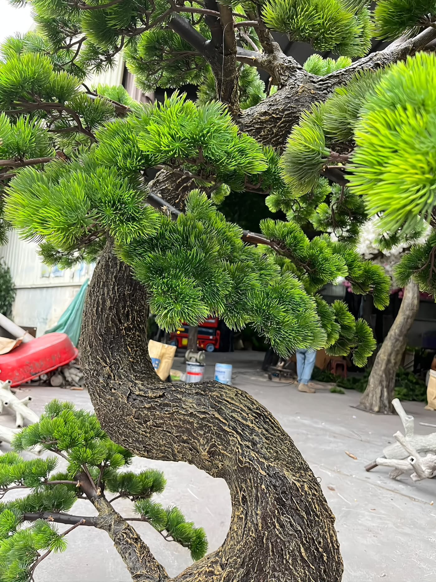 Curved trunk and needle pads of a sculpted topiary form, the S-curve shaped by hand over a steel core