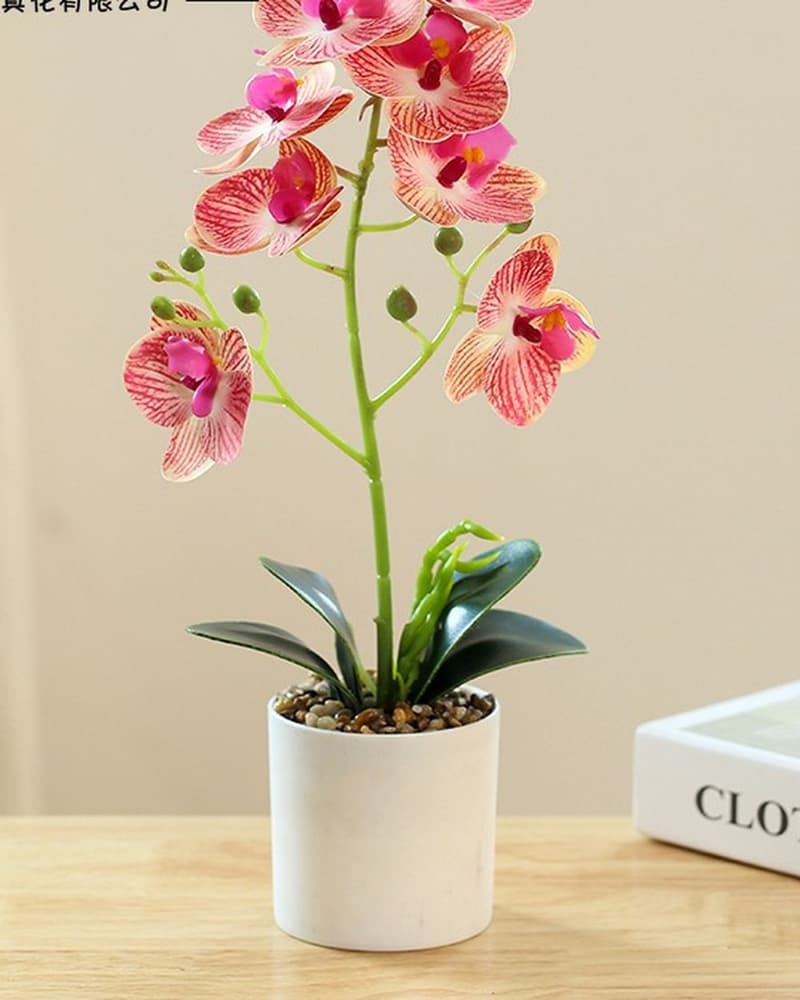 Artificial phalaenopsis orchid in pink-striped silk petals potted in a white ceramic pot
