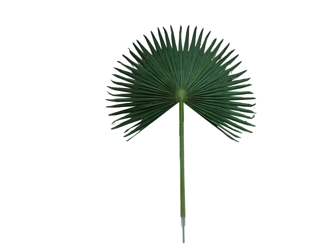 大号扇葵叶/棕榈树叶片(HX148002)大叶135×110cm