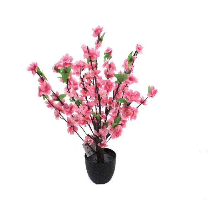 小桃花树 高0.58 m(HXXTH001)