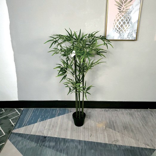 竹子 高1.2 m（HXZZ001）