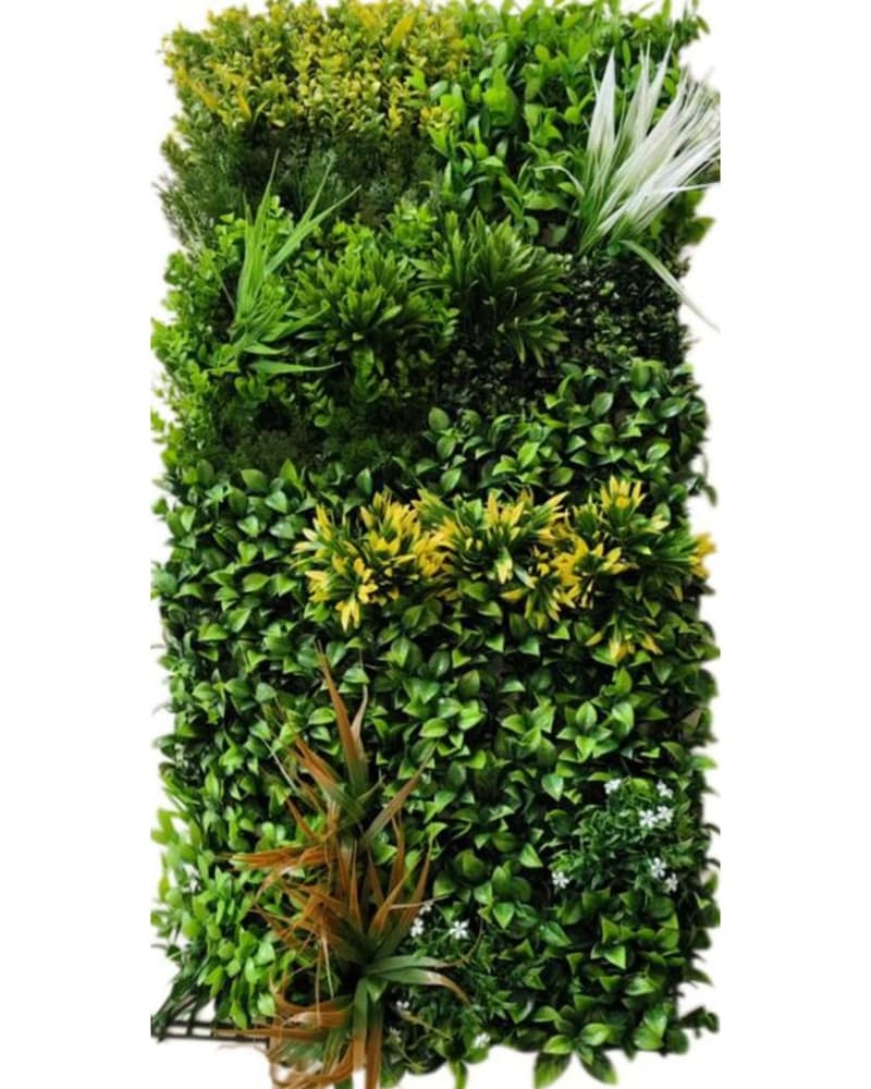 Artificial boxwood wall panel in a 50 x 100 cm format with dense UV-stabilised foliage