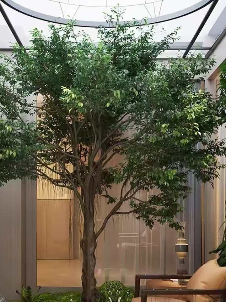 Artificial ficus tree, product photo