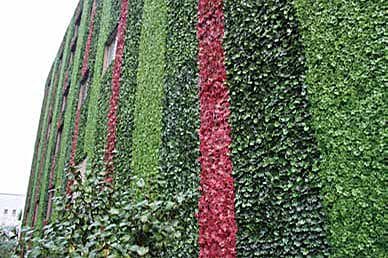 Artificial green wall cladding the exterior facade of a shopping mall tower