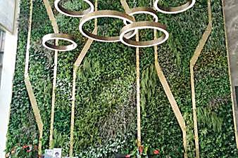 Artificial greenery in an office reception area