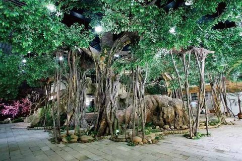 古榕树造景