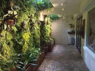 Green Wall — Hong Kong