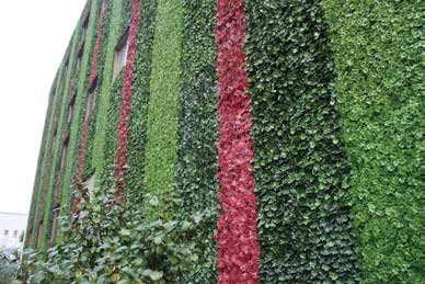 Office Building Green Wall — Shanghai