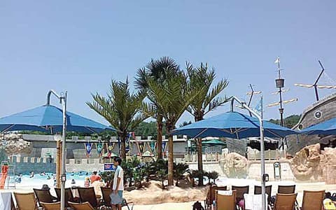 Artificial palm trees and parasols around a resort pool