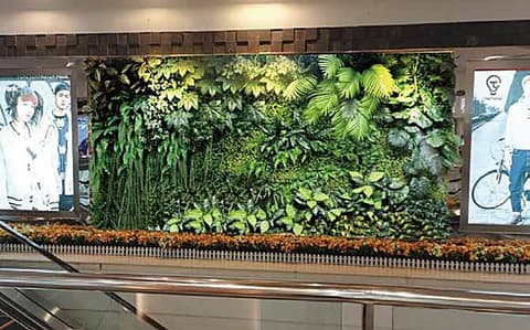 Artificial plant wall beside an escalator in a shopping mall